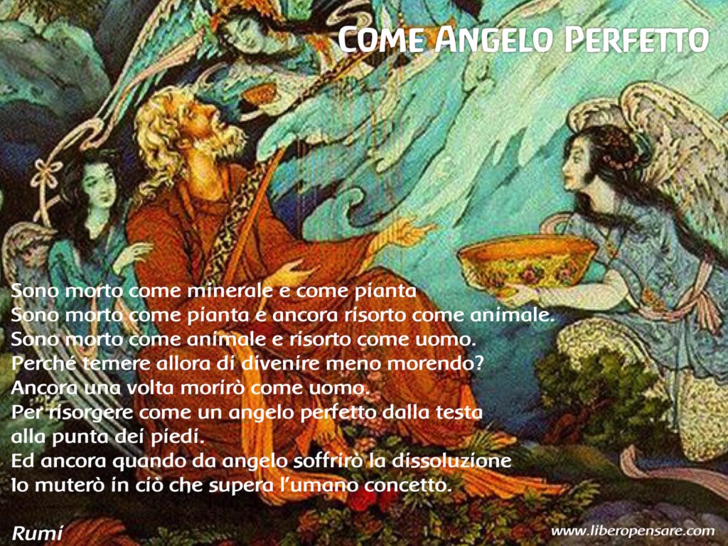 Come Angelo Perfetto Rumi