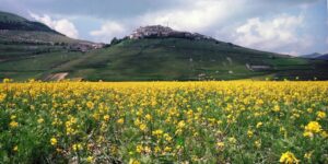 1993 Castelluccio, ITALY