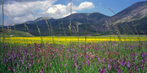 1993 Castelluccio ITALY