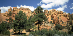 1995 Bryce Canyon NP, USA