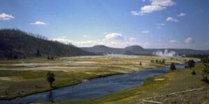 1995 Yellowstone NP, USA