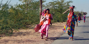 2005 Jodhpur 5, INDIA