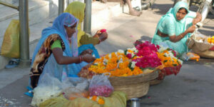 2005 Udaipur 3, INDIA