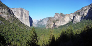 2009 Yosemite N.P., USA